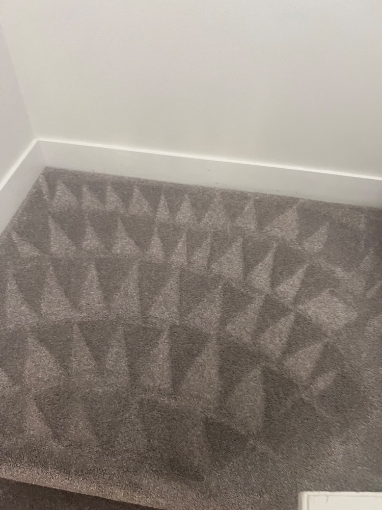 Freshly cleaned grey bedroom carpet in a Kelowna home with visible grooming marks